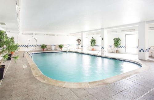 Westminster Hotel | Comfortable Stay at Hampton Inn Denver - Northwest Westminster