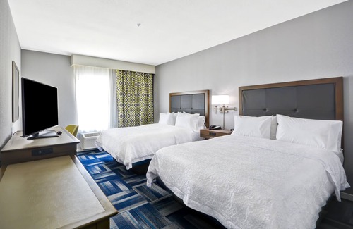 Kyle Hotel | Discover the Comfort of Hampton Inn Kyle with Great Amenities