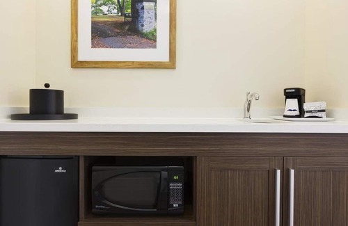 Kyle Hotel | Discover the Comfort of Hampton Inn Kyle with Great Amenities