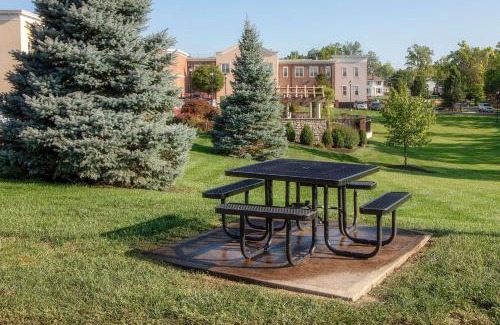 Oxford Hotel | Explore Hampton Inn Oxford with Pet-Friendly Amenities