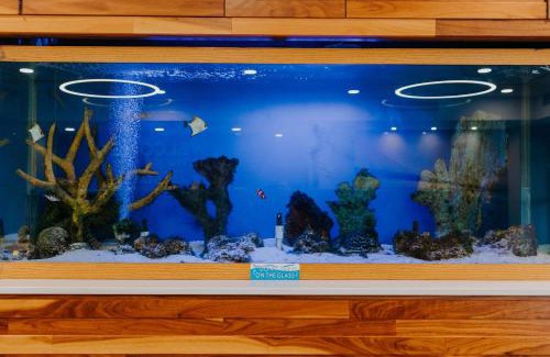 Maplewood Hotel | Welcoming Hampton Inn Rehoboth Beach with Pool & Pet-Friendly