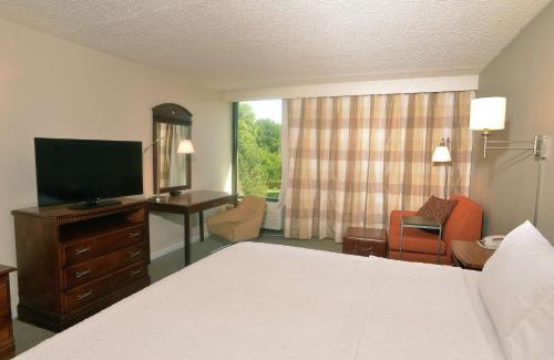 Springfield Hotel | Pet-Friendly Getaway at Hampton Inn Springfield-South