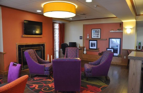 Stony Creek Hotel | Pet-Friendly Comfort at Hampton Inn Stony Creek