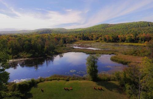 Lenox Hotel | Discover Hampton Inn & Suites Berkshires-Lenox Hotel
