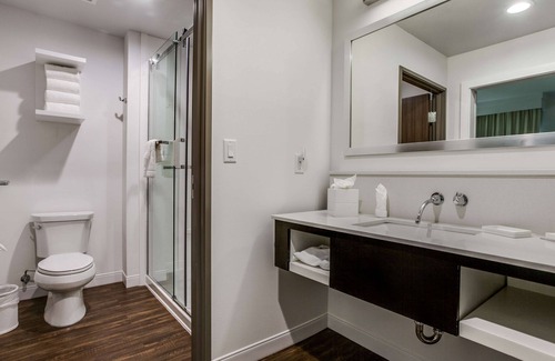 Vickery Meadow Hotel | Comfortable Hampton Inn & Suites Near North Park Attractions