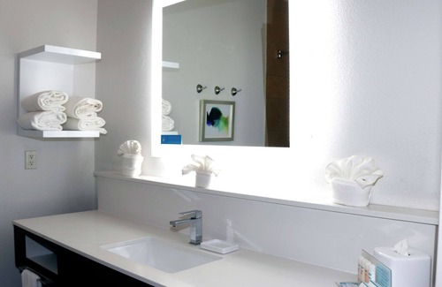 Stephenville Hotel | Pet-Friendly Hampton Inn & Suites in Stephenville Awaits