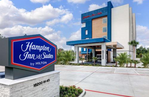 The Woodlands Hotel | Ideal Getaway at Hampton Inn & Suites in Shenandoah