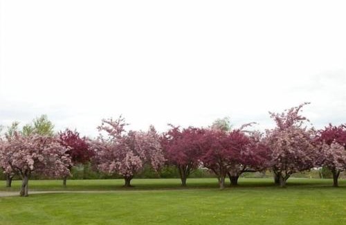 Town of Yates House | Family-Friendly Stay at Hamptons North for Unforgettable Memories