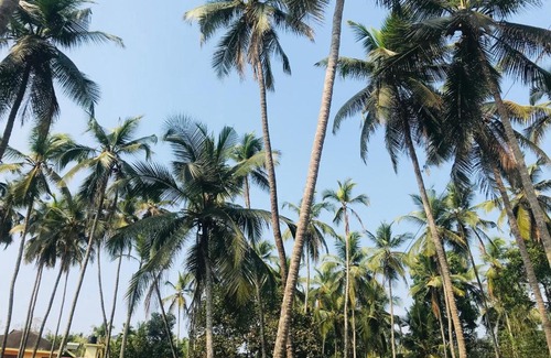 Thalassery House | Family-Friendly Hannahomestay: Guest Rated 10/10!