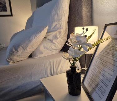 Wolfsburg Apartment | HANNIBAL - Studio-Apartment Gladiole 1, Parkplatz, Küche, HighSpeed WLAN