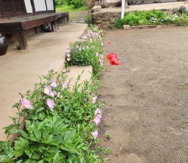 Toero House | Family-Friendly Hanok Soeun House with Kitchen Amenities