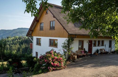 Schiltach Apartment | Pet-Friendly Hansjörgenhof Bioland-Hof with High Guest Ratings