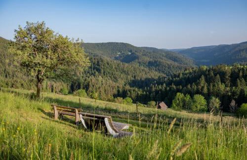 Schiltach Apartment | Pet-Friendly Hansjörgenhof Bioland-Hof with High Guest Ratings