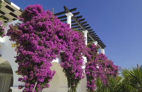 Sesmarias Apartment | Experience Hapimag Resort Albufeira: Ocean Views & Spa