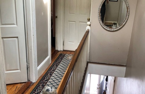 Allston Apartment | Discover Happy Green House with Spa Near Harvard and MIT