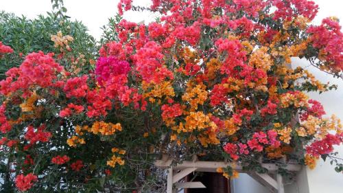 Ennasr Apartment | Pet-Friendly Retreat at Happy House Ennasr with Spa Access