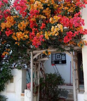 Ennasr Apartment | Pet-Friendly Retreat at Happy House Ennasr with Spa Access