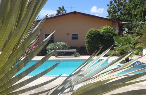 Willemstad Apartment | Budget-Friendly Happy Turtle Apartments with Pool & Breakfast