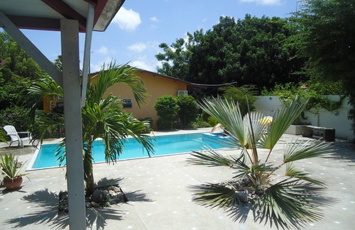 Willemstad Apartment | Budget-Friendly Happy Turtle Apartments with Pool & Breakfast