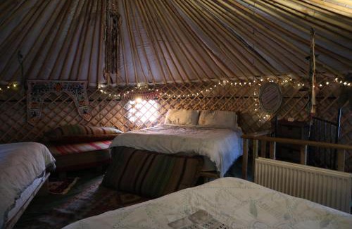 Abergele House | Inviting Yurts & Garden Retreat Perfect for Family Getaways