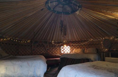 Abergele House | Inviting Yurts & Garden Retreat Perfect for Family Getaways