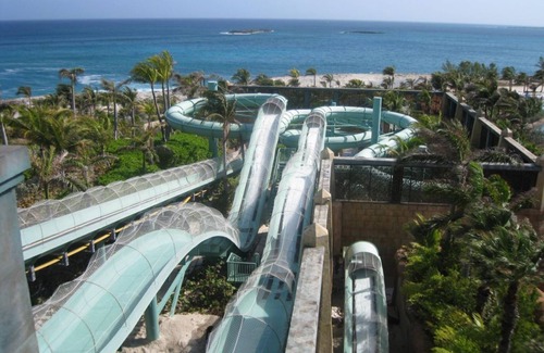 Paradise Island Resort | Discover Harborside Resort at Atlantis: Your Island Retreat