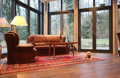 Bad Homburg v.d. Hoehe Hotel | Discover Hardtwald Hotel: Pet-Friendly & Family-Oriented Stay