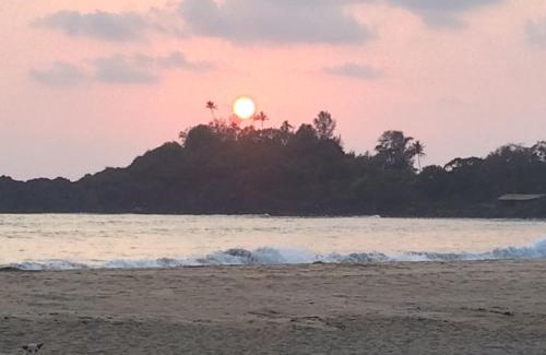 Patnem Hotel | Oceanfront Escape at Hare's Bar and Restaurant