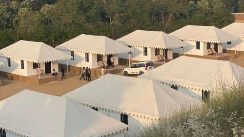Dheerpura Resort | Explore Hariyali Dhani Camps & Resort: Pet-Friendly Retreat