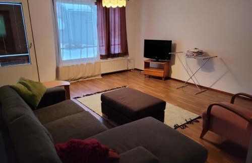 Aanekoski Apartment | Harjukatu