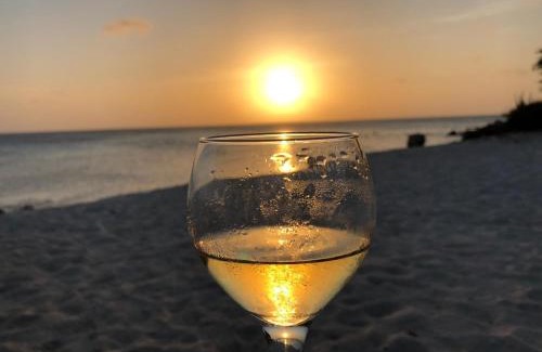 Ponton Apartment | Discover Palmita Hotel Hostel Aruba: Pet-Friendly & Oceanfront