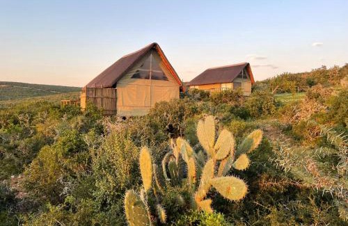 Nelson Mandela Bay Cabin | Exclusive Harmony Safari Tents with Family-Friendly Dining