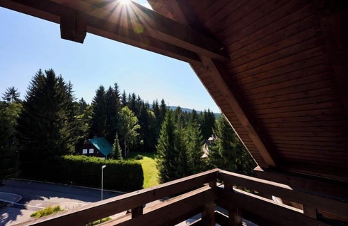 Harrachov Apartment | Pet-Friendly Retreat with Spa & Breakfast at Harrachov 497