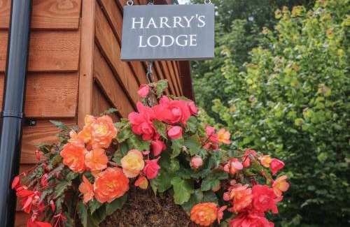 Ashover House | Discover Family-Friendly Comfort at Harry's Lodge
