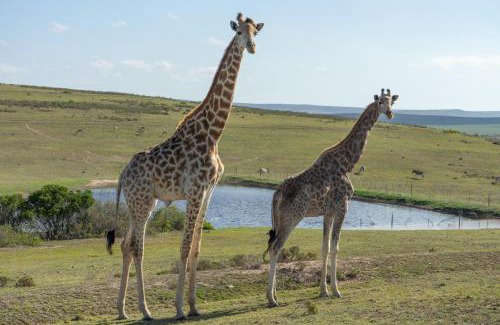Brandwag Cabin | Hartenbos Private Game Lodge