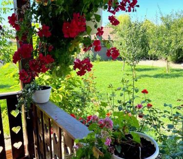 Lunca Muresului House | Harvest House Transylvania