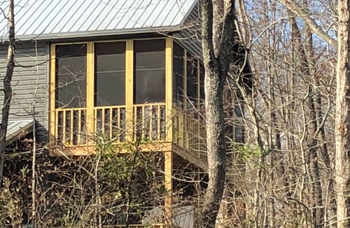 Pangburn Cabin | Discover Harvey’s Hideaway Riverfront Cabin - Pet Friendly!