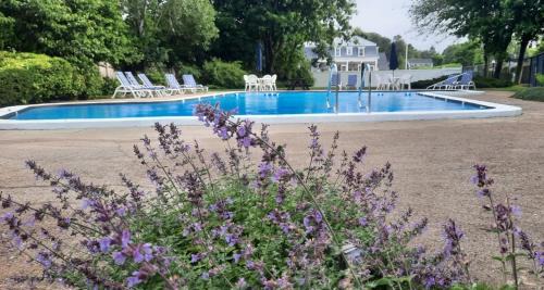 Harwich Port Hotel | Cozy Harwichport Resort Club with Ocean Views & Pool Access