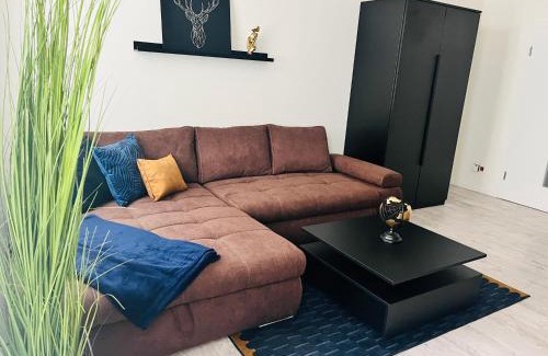 Wernigerode Old Town Apartment | HarzFokus Happynest: Ideal for Families, Hot Tub & Wi-Fi
