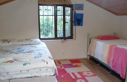 Amasya House | Pet-Friendly HAS Bağ Evi: A Family Retreat Awaiting You
