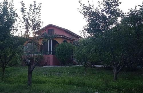 Amasya House | Pet-Friendly HAS Bağ Evi: A Family Retreat Awaiting You