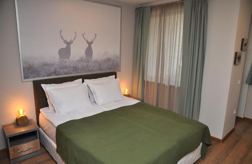 Borovets Apartment | Pet-Friendly Haven: Hashtag Studio Borovets, Guest Rated 9.8
