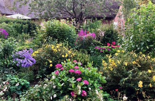 Westerhever Apartment | Guest Rated 9/10 at Haubarg alte Strandvogtei Hotel