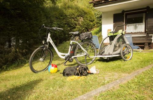 Schoenecken Apartment | Pet-Friendly Retreat: Haus 2 - Typ A Appartement Awaits