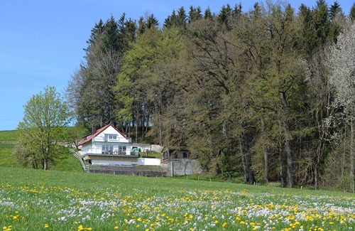 Unterallgau House | Discover Haus Allgäublick by the Forest - Rated 9.8/10