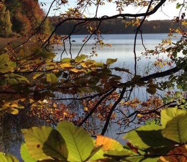 Kleinzerlang House | Serene Haus am See: Pet-Friendly Retreat in Kleinzerlang
