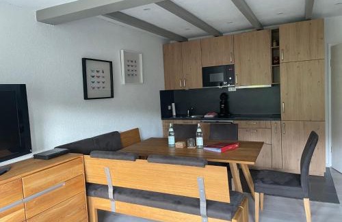 Todtnauberg Apartment | Comfortable Haus am Sonnenberg Near Ski Lift in Todtnauberg