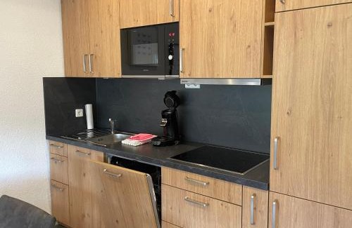 Todtnauberg Apartment | Comfortable Haus am Sonnenberg Near Ski Lift in Todtnauberg