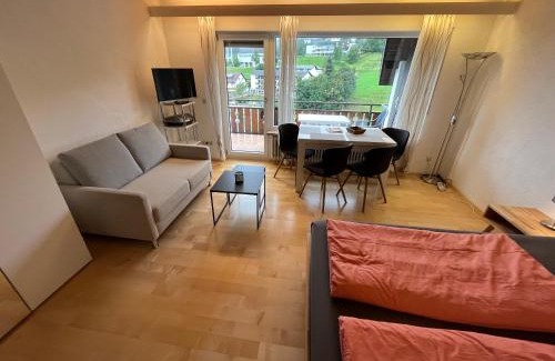 Todtnauberg Apartment | Cozy Haus am Sonnenberg Near Ski Lift in Todtnauberg