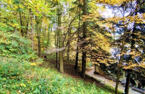 Bad Sooden-Allendorf Apartment | Haus am Wald Radlerrast